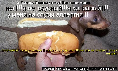 нет!!!!я не вкусный!!!я холодный!!!! у меня на соусы аллергия!!! я болею бешенством!!!не ешь меня я ... Котоматрица: нет!!!!я не вкусный!!!я холодный!!!! у меня на соусы аллергия!!! я болею бешенством!!!не ешь меня я холодный в конце-концов!!!!ничего не хочу знать!!