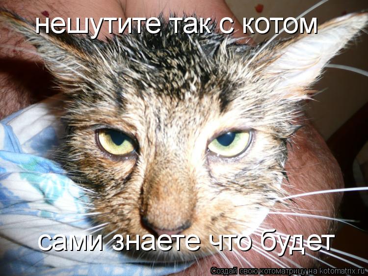 нешутите так с котом сами знаете что будет... Котоматрица: нешутите так с котом сами знаете что будет