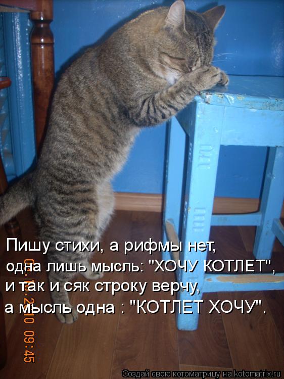 Пишу стихи, а рифмы нет, одна лишь мысль: "ХОЧУ КОТЛЕТ", и так и сяк строку верчу, а мысль одна : "КО... Котоматрица: Пишу стихи, а рифмы нет, одна лишь мысль: "ХОЧУ КОТЛЕТ", и так и сяк строку верчу, а мысль одна : "КОТЛЕТ ХОЧУ".