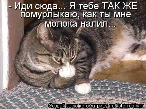 - Иди сюда... Я тебе ТАК ЖЕ помурлыкаю, как ты мне молока налил...... Котоматрица: - Иди сюда... Я тебе ТАК ЖЕ помурлыкаю, как ты мне молока налил...