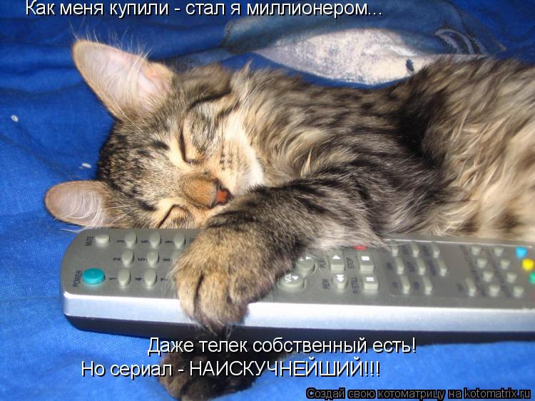 Как меня купили - стал я миллионером... Даже телек собственный есть! Но сериал - НАИСКУЧНЕЙШИЙ!!!... Котоматрица: Как меня купили - стал я миллионером... Даже телек собственный есть! Но сериал - НАИСКУЧНЕЙШИЙ!!!
