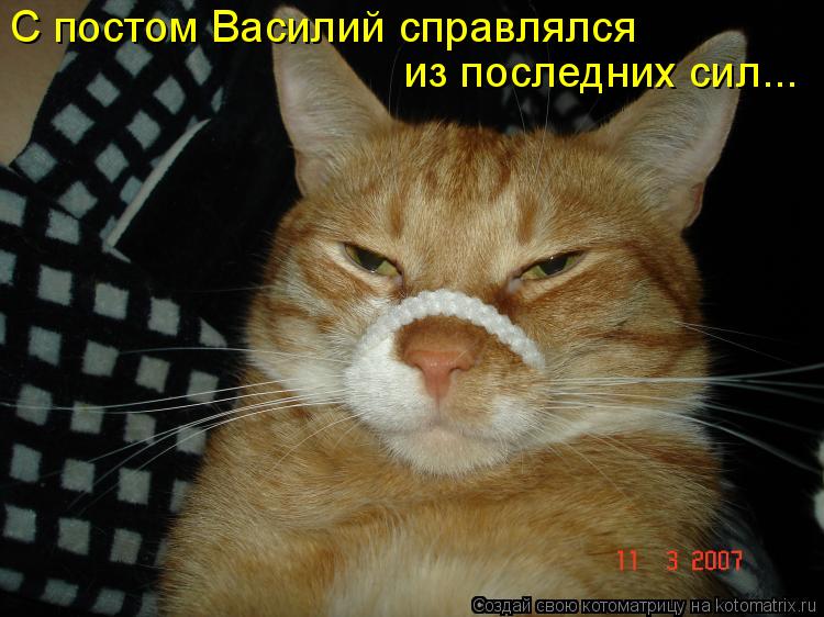 С постом Василий справлялся из последних сил...... Котоматрица: С постом Василий справлялся из последних сил...