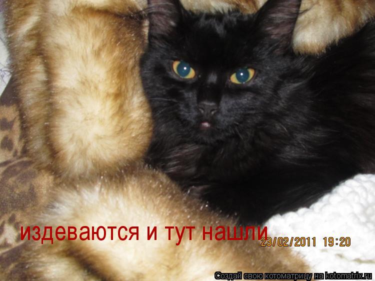 издеваются и тут нашли... Котоматрица: издеваются и тут нашли