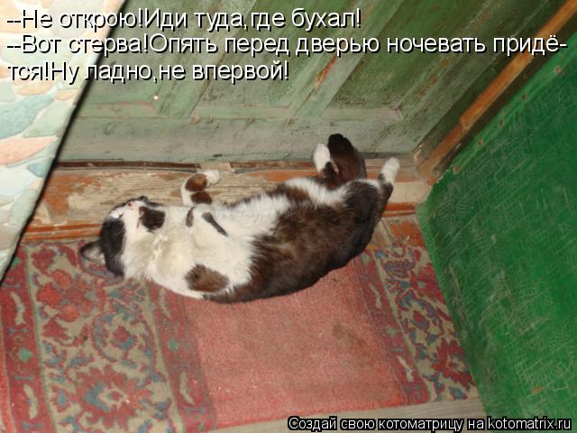 --Не открою!Иди туда,где бухал! --Вот стерва!Опять перед дверью ночевать придё- тся!Ну ладно,не вперв... Котоматрица: --Не открою!Иди туда,где бухал! --Вот стерва!Опять перед дверью ночевать придё- тся!Ну ладно,не впервой!