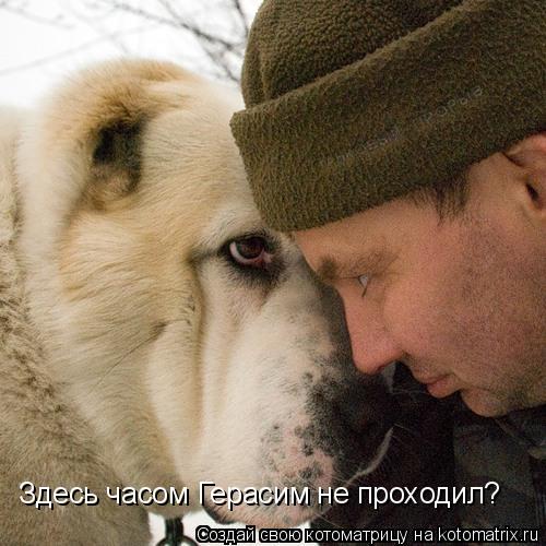 Здесь часом Герасим не проходил?... Котоматрица: Здесь часом Герасим не проходил?