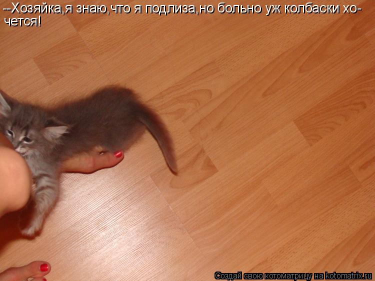 --Хозяйка,я знаю,что я подлиза,но больно уж колбаски хо- чется!... Котоматрица: --Хозяйка,я знаю,что я подлиза,но больно уж колбаски хо- чется!