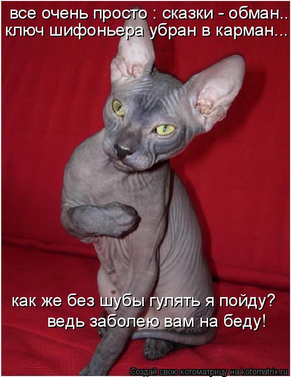 все очень просто : сказки - обман... ключ шифоньера убран в карман... как же без шубы гулять я пойду?... Котоматрица: все очень просто : сказки - обман... ключ шифоньера убран в карман... как же без шубы гулять я пойду? ведь заболею вам на беду!