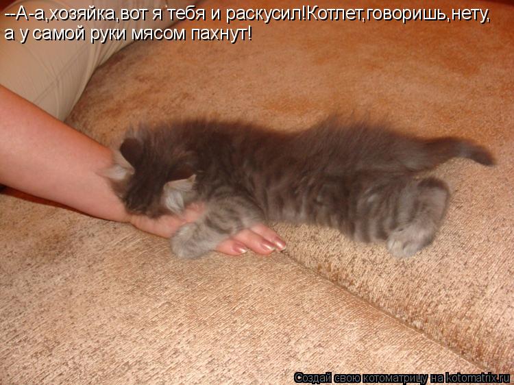 --А-а,хозяйка,вот я тебя и раскусил!Котлет,говоришь,нету, а у самой руки мясом пахнут!... Котоматрица: --А-а,хозяйка,вот я тебя и раскусил!Котлет,говоришь,нету, а у самой руки мясом пахнут!