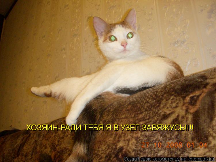 ХОЗЯИН-РАДИ ТЕБЯ Я В УЗЕЛ ЗАВЯЖУСЬ!!!!... Котоматрица: ХОЗЯИН-РАДИ ТЕБЯ Я В УЗЕЛ ЗАВЯЖУСЬ!!!!