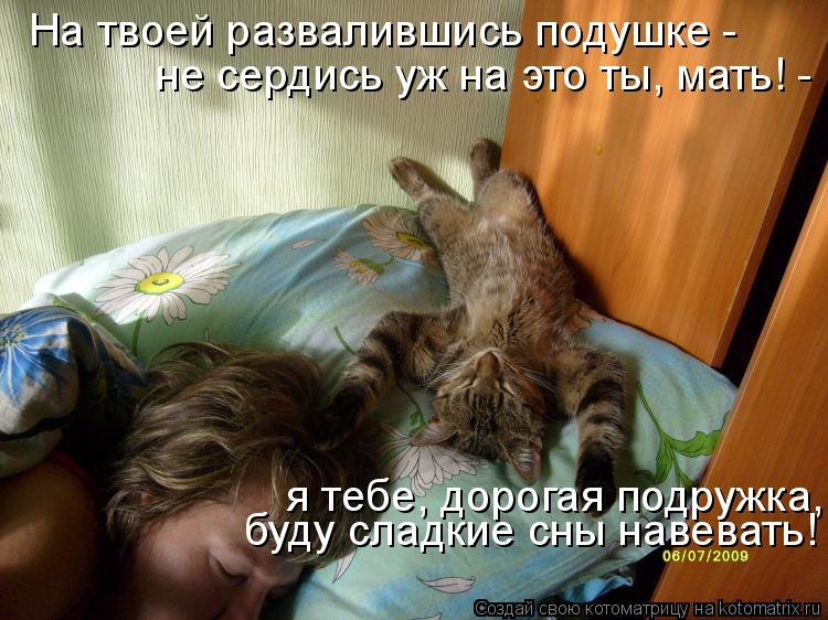 На твоей развалившись подушке - не сердись уж на это ты, мать! - я тебе, дорогая подружка, буду сл... Котоматрица: На твоей развалившись подушке - не сердись уж на это ты, мать! - я тебе, дорогая подружка, буду сладкие сны навевать!