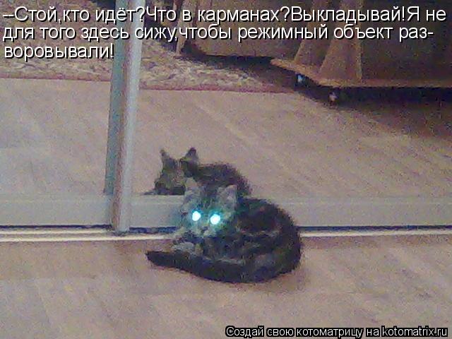 --Стой,кто идёт?Что в карманах?Выкладывай!Я не для того здесь сижу,чтобы режимный объект раз- воровыв... Котоматрица: --Стой,кто идёт?Что в карманах?Выкладывай!Я не для того здесь сижу,чтобы режимный объект раз- воровывали!