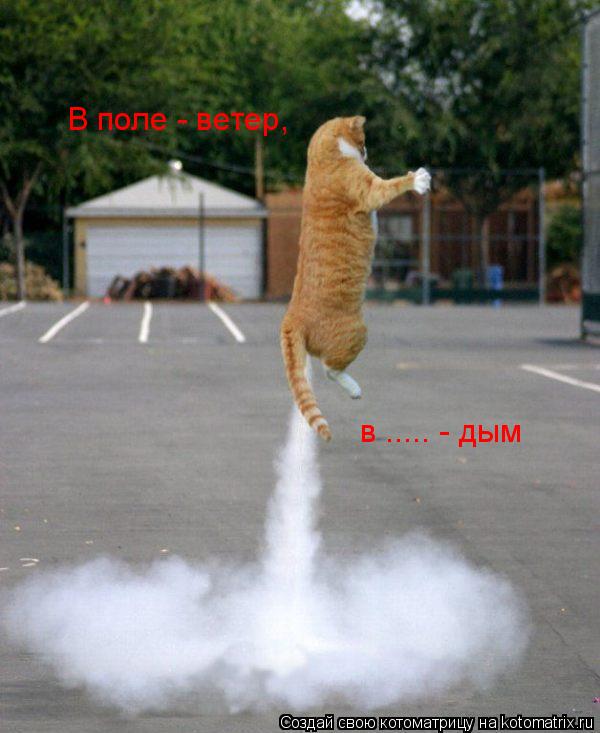 В поле - ветер, в ..... - дым... Котоматрица: В поле - ветер, в ..... - дым