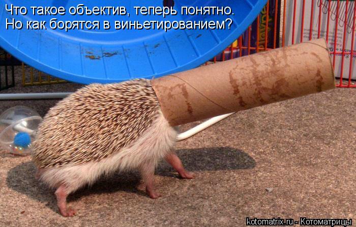 Что такое объектив, теперь понятно. Но как борятся в виньетированием?... Котоматрица: Что такое объектив, теперь понятно. Но как борятся в виньетированием?