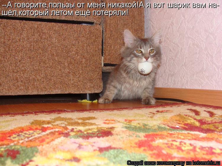 --А говорите,пользы от меня никакой!А я вот шарик вам на- шёл,который летом ещё потеряли!... Котоматрица: --А говорите,пользы от меня никакой!А я вот шарик вам на- шёл,который летом ещё потеряли!