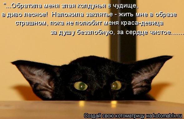 в диво лесное! Наложила заклятье - жить мне в образе страшном, пока не полюбит меня краса-девица за ... Котоматрица: в диво лесное! Наложила заклятье - жить мне в образе страшном, пока не полюбит меня краса-девица за душу беззлобную, за сердце чистое....... "...О