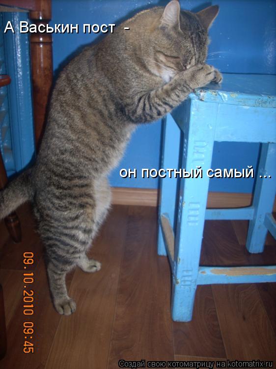 Котоматрица: А Васькин пост  -  он постный самый ...
