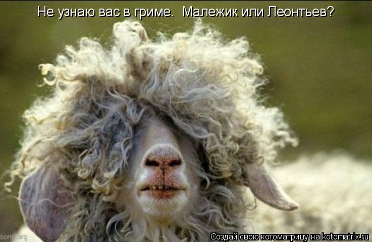 Не узнаю вас в гриме. Малежик или Леонтьев?... Котоматрица: Не узнаю вас в гриме. Малежик или Леонтьев?