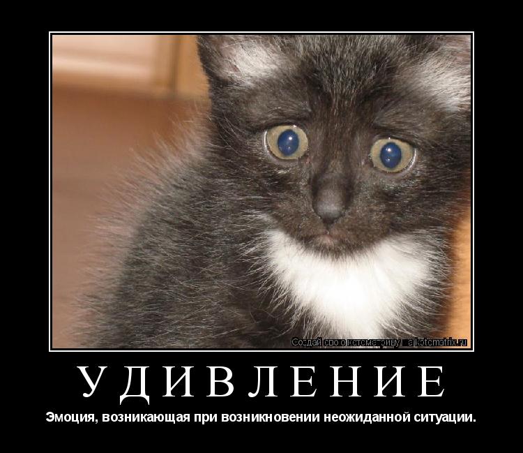 Удивление Эмоция, возникающая при возникновении неожиданной ситуации.... Котоматрица: Удивление Эмоция, возникающая при возникновении неожиданной ситуации.
