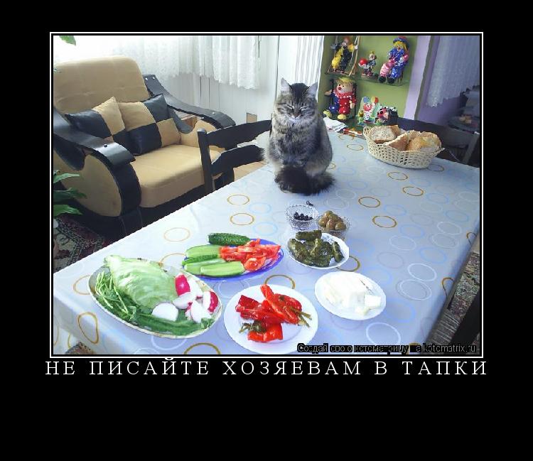 НЕ ПИСАЙТЕ ХОЗЯЕВАМ В ТАПКИ ... Котоматрица: НЕ ПИСАЙТЕ ХОЗЯЕВАМ В ТАПКИ