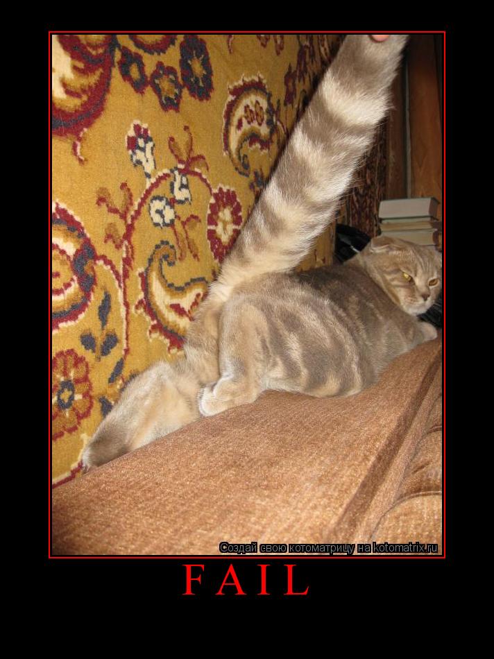 FAIL ... Котоматрица: FAIL