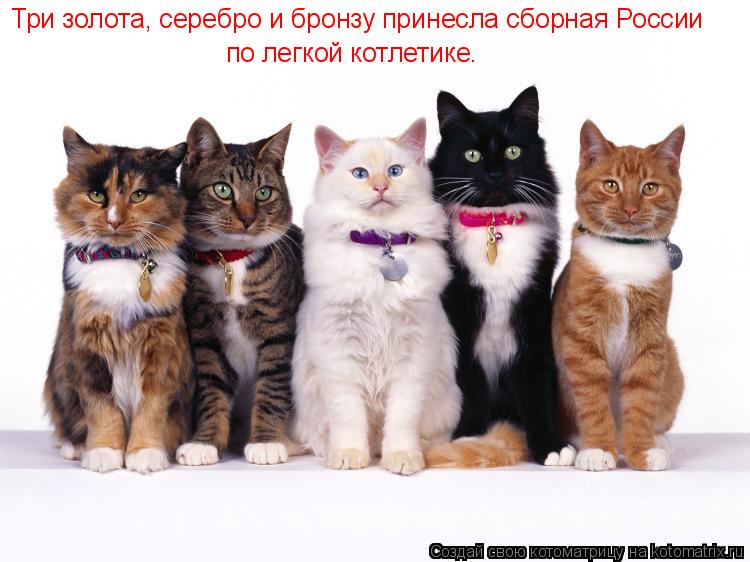 Три золота, серебро и бронзу принесла сборная России по легкой котлетике.... Котоматрица: Три золота, серебро и бронзу принесла сборная России по легкой котлетике.