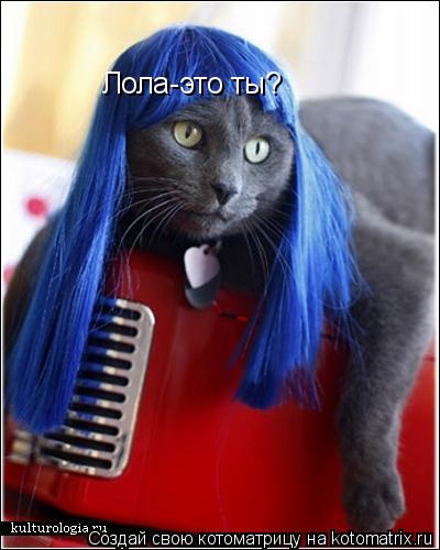 Лола-это ты?... Котоматрица: Лола-это ты?