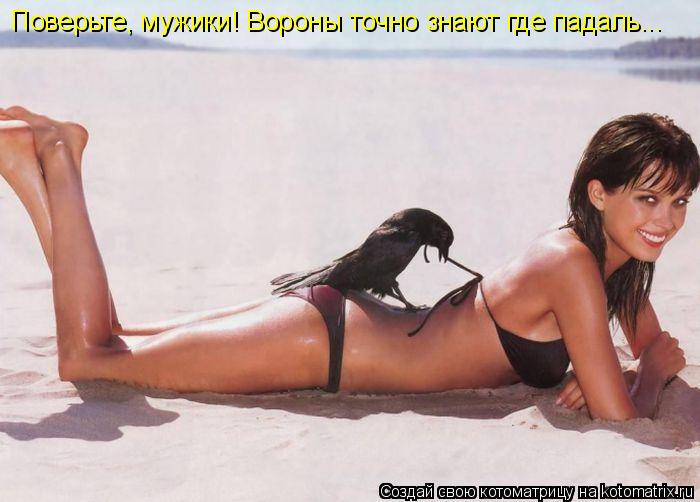 Котоматрица: Поверьте, мужики! Вороны точно знают где падаль...