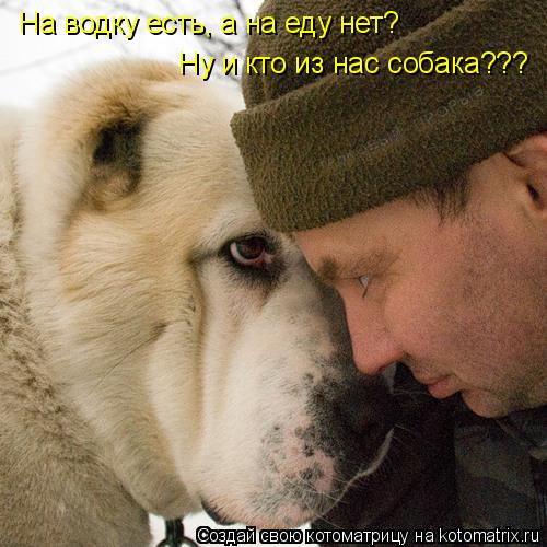 Котоматрица: На водку есть, а на еду нет? Ну и кто из нас собака???