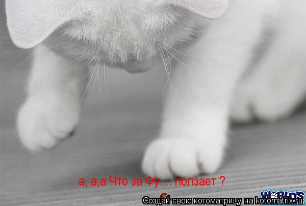 a, а,a Что за Фу.... ползает ?... Котоматрица: a, а,a Что за Фу.... ползает ?
