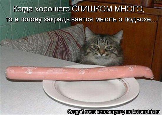 Котоматрица: Когда хорошего СЛИШКОМ МНОГО,  то в голову закрадывается мысль о подвохе...