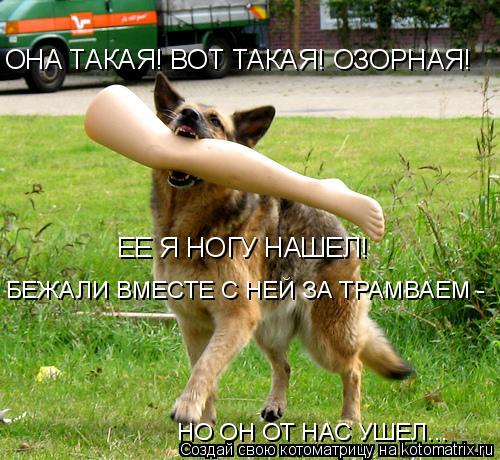 ОНА ТАКАЯ! ВОТ ТАКАЯ! ОЗОРНАЯ! ЕЕ Я НОГУ НАШЕЛ! БЕЖАЛИ ВМЕСТЕ С НЕЙ ЗА ТРАМВАЕМ - НО ОН ОТ НАС УШЕ... Котоматрица: ОНА ТАКАЯ! ВОТ ТАКАЯ! ОЗОРНАЯ! ЕЕ Я НОГУ НАШЕЛ! БЕЖАЛИ ВМЕСТЕ С НЕЙ ЗА ТРАМВАЕМ - НО ОН ОТ НАС УШЕЛ...