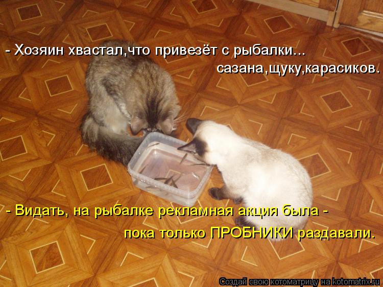 - Хозяин хвастал,что привезёт с рыбалки... сазана,щуку,карасиков. - Видать, на рыбалке рекламная акци... Котоматрица: - Хозяин хвастал,что привезёт с рыбалки... сазана,щуку,карасиков. - Видать, на рыбалке рекламная акция была - пока только ПРОБНИКИ раздавали.