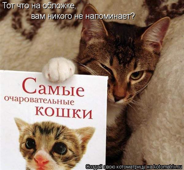 Тот что на обложке, вам никого не напоминает?... Котоматрица: Тот что на обложке, вам никого не напоминает?