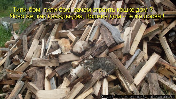 Тили-бом, тили-бом, зачем строить кошке дом ? Ясно же, как дважды-два, Кошкин дом - те же дрова !... Котоматрица: Тили-бом, тили-бом, зачем строить кошке дом ? Ясно же, как дважды-два, Кошкин дом - те же дрова !