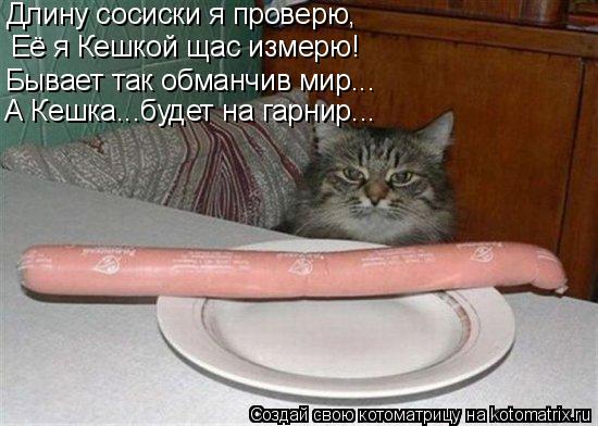 Длину сосиски я проверю, Её я Кешкой щас измерю! Бывает так обманчив мир... А Кешка...будет на гарнир... Котоматрица: Длину сосиски я проверю, Её я Кешкой щас измерю! Бывает так обманчив мир... А Кешка...будет на гарнир...