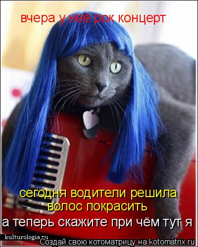 сегодня водители решила волос покрасить а теперь скажите при чём тут я вчера у неё рок концерт... Котоматрица: сегодня водители решила волос покрасить а теперь скажите при чём тут я вчера у неё рок концерт