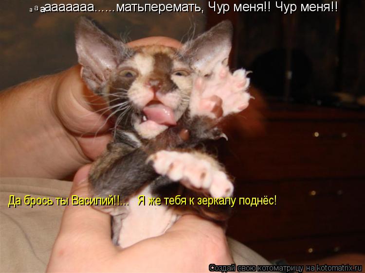 а а а ааааааа......матьперемать, Чур меня!! Чур меня!! Да брось ты Василий!!... Я же тебя к зеркалу... Котоматрица: а а а ааааааа......матьперемать, Чур меня!! Чур меня!! Да брось ты Василий!!... Я же тебя к зеркалу поднёс!