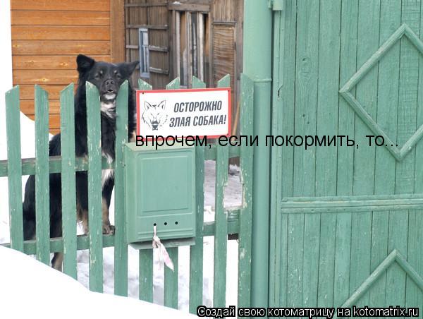 впрочем, если покормить, то...... Котоматрица: впрочем, если покормить, то...