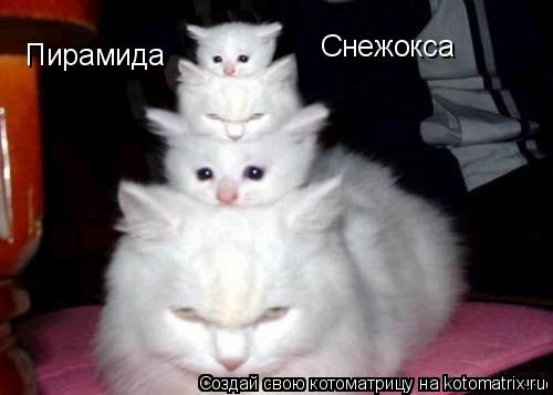 Пирамида Снежокса... Котоматрица: Пирамида Снежокса