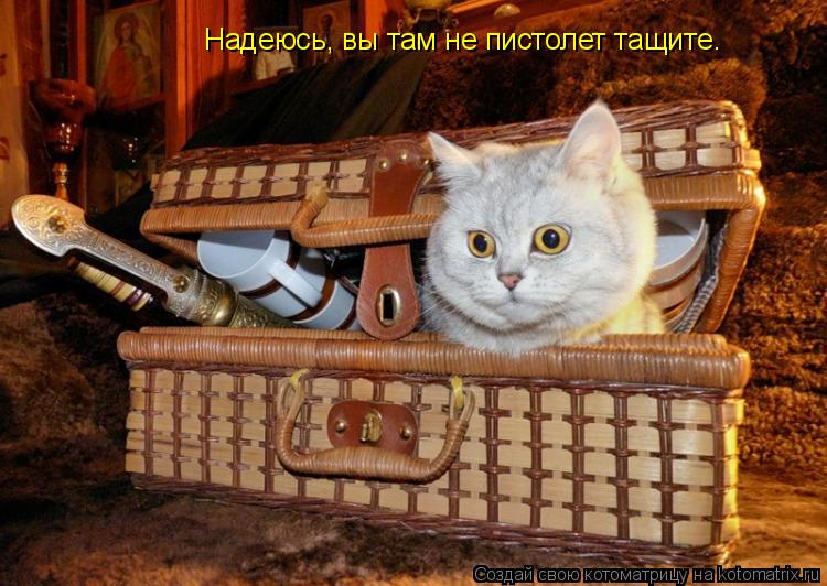Надеюсь, вы там не пистолет тащите.... Котоматрица: Надеюсь, вы там не пистолет тащите.