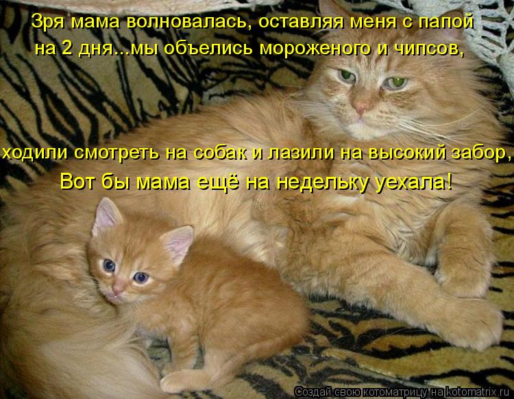 Зря мама волновалась, оставляя меня с папой на 2 дня...мы объелись мороженого и чипсов, ходили смотре... Котоматрица: Зря мама волновалась, оставляя меня с папой на 2 дня...мы объелись мороженого и чипсов, ходили смотреть на собак и лазили на высокий забор, Во