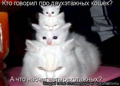 Кто говорил про двухэтажных кошек? А что насчет четырехэтажных?... Котоматрица: Кто говорил про двухэтажных кошек? А что насчет четырехэтажных?
