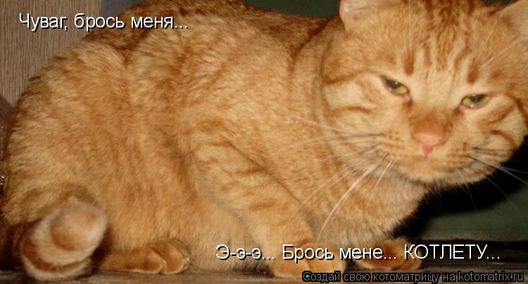 Чуваг, брось меня... Э-э-э... Брось мене... КОТЛЕТУ...... Котоматрица: Чуваг, брось меня... Э-э-э... Брось мене... КОТЛЕТУ...
