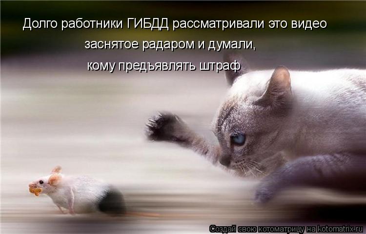 Долго работники ГИБДД рассматривали это видео заснятое радаром и думали, кому предъявлять штраф... Котоматрица: Долго работники ГИБДД рассматривали это видео заснятое радаром и думали, кому предъявлять штраф