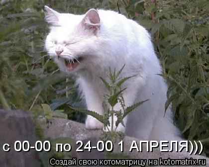 с 00-00 по 24-00 1 АПРЕЛЯ)))... Котоматрица: с 00-00 по 24-00 1 АПРЕЛЯ)))