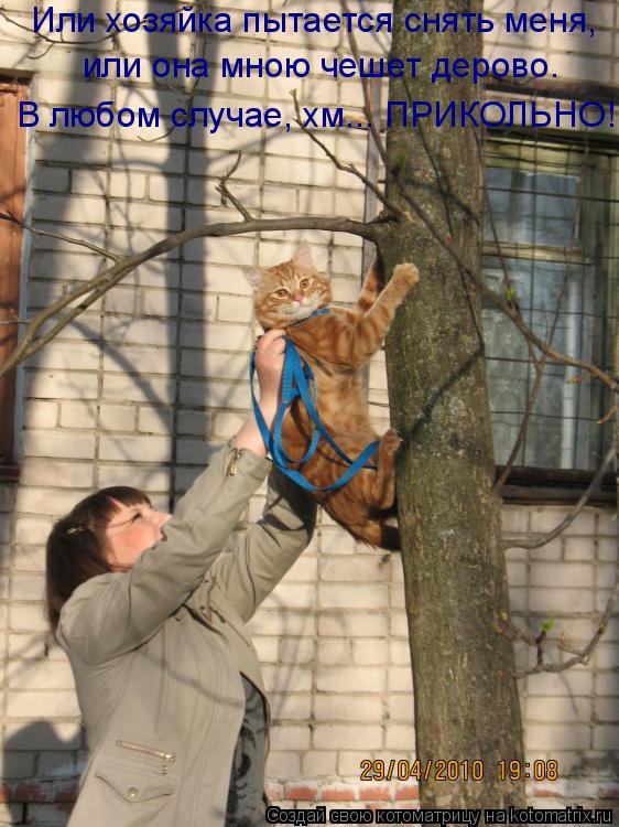 Или хозяйка пытается снять меня, В любом случае, хм... ПРИКОЛЬНО! или она мною чешет дерово.... Котоматрица: Или хозяйка пытается снять меня, В любом случае, хм... ПРИКОЛЬНО! или она мною чешет дерово.