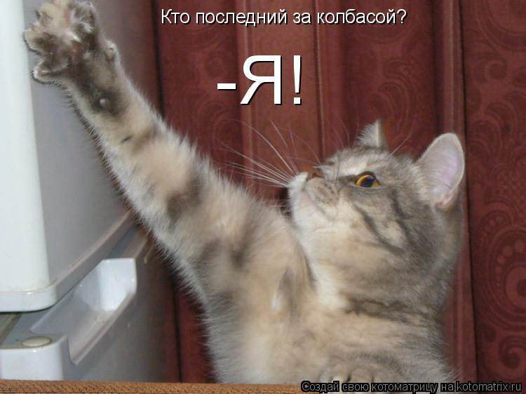 Кто последний за колбасой? -Я!... Котоматрица: Кто последний за колбасой? -Я!