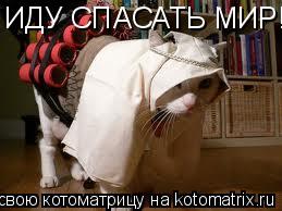 ИДУ СПАСАТЬ МИР!!... Котоматрица: ИДУ СПАСАТЬ МИР!!