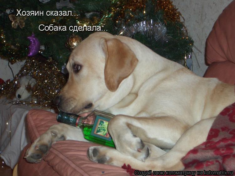 Хозяин сказал... Собака сделала...... Котоматрица: Хозяин сказал... Собака сделала...