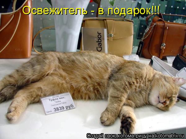 Освежитель - в подарок!!!... Котоматрица: Освежитель - в подарок!!!